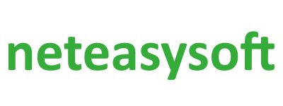 Neteasysoft Kft.